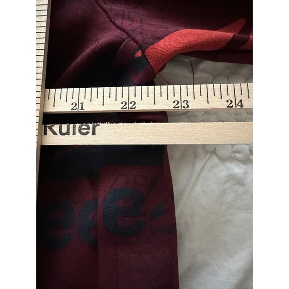 Reebok Classic Graphic Logo Hoodie Sweatshirt Men's SZ 2XL Port Royale (Red) NWT - Picture 3 of 9